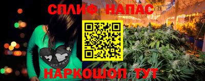PSILOCYBIN Тулун